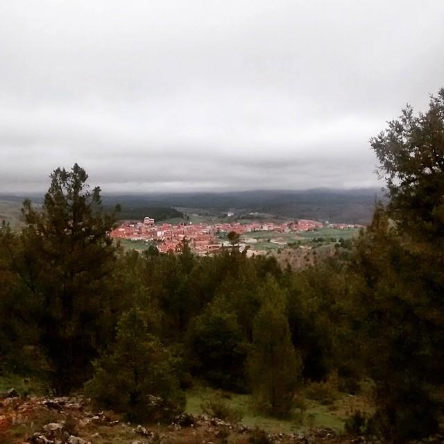 HONTORIA DEL PINAR