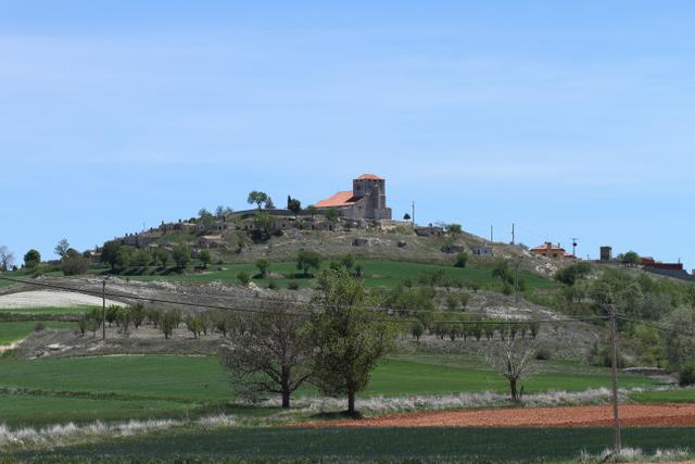 MORADILLO DE ROA